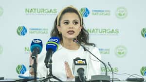 Presidente de Naturgas, Luz Stella Murgas.