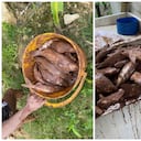 La comunidad reportó esta situación.