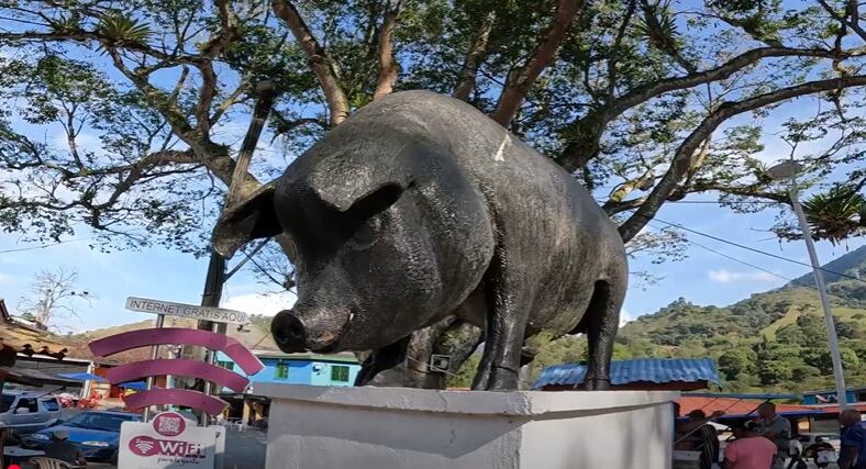 Heliconia, Antioquia