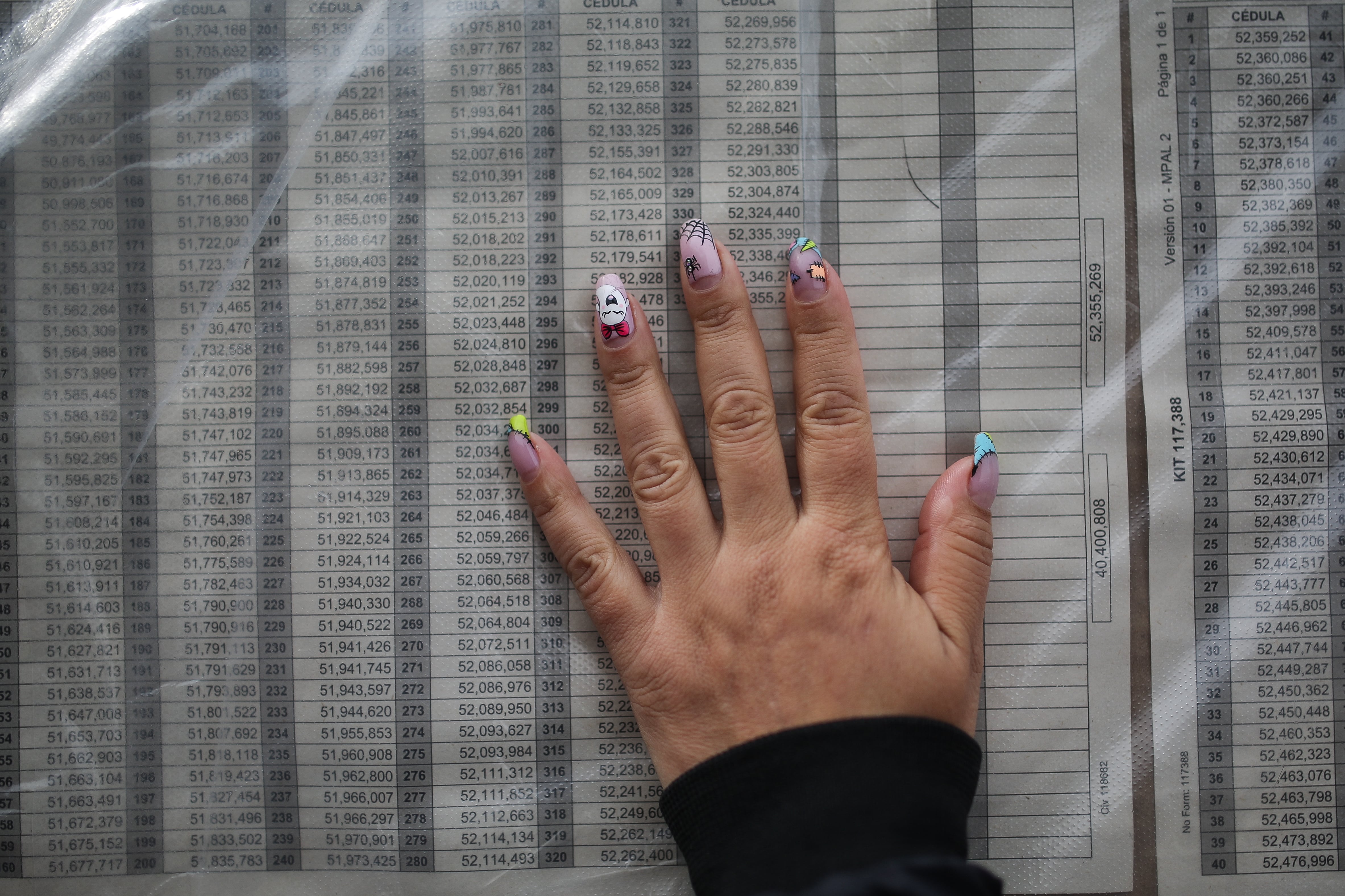 Elecciones, votaciones, Voto Indigena