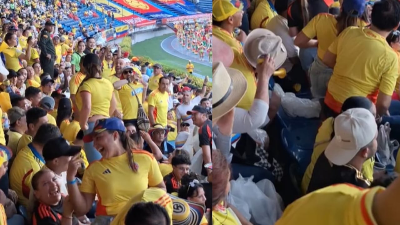 Reacción de hincha en el Metropolitano.