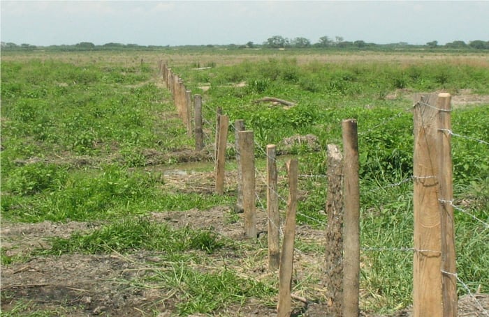 Cuando los humedales secan los ganaderos y palmicultores corren la cerca, como esta que no tiene mojones que indiquen existencia de propiedad de particulares anteriores a la construcción de este lindero.