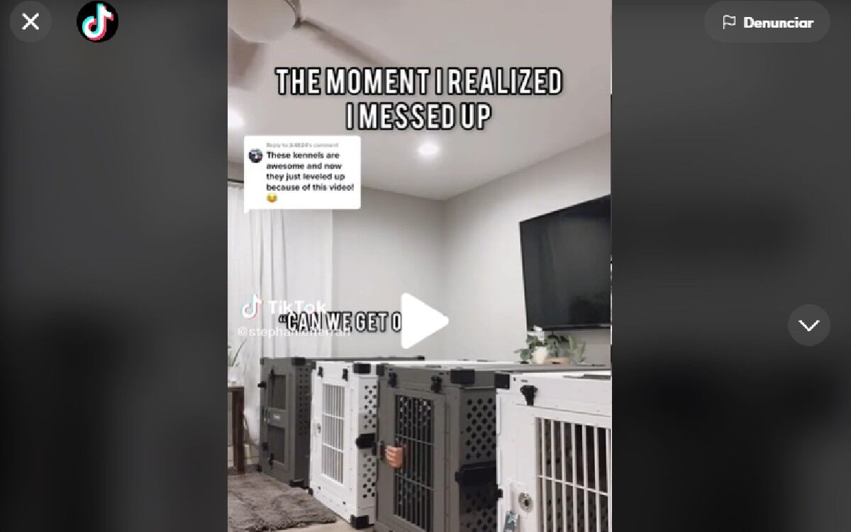 El hecho quedó captado en un clip que se hizo viral en la plataforma con más 12 millones de reproducciones.