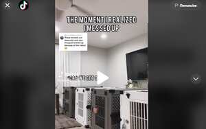 El hecho quedó captado en un clip que se hizo viral en la plataforma con más 12 millones de reproducciones.