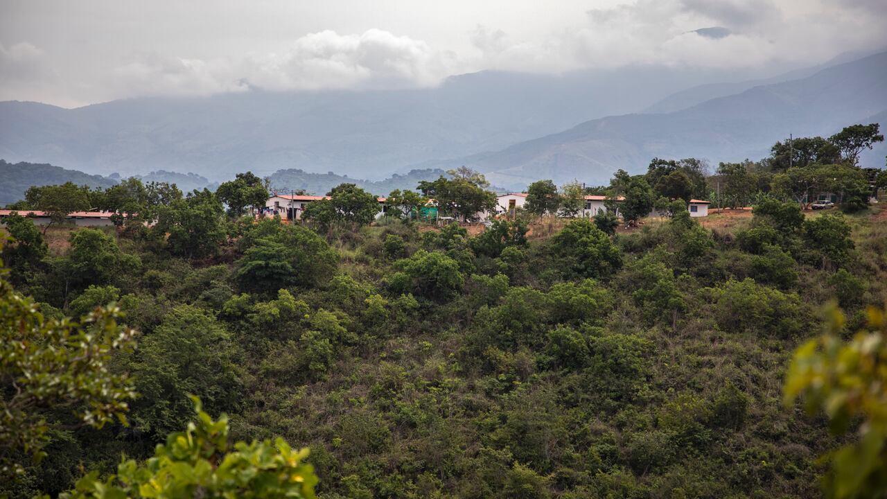 DE 114 millones de hectáreas que hay en Colombia, ya se ha realizado actualización catastral al 39,05 %.