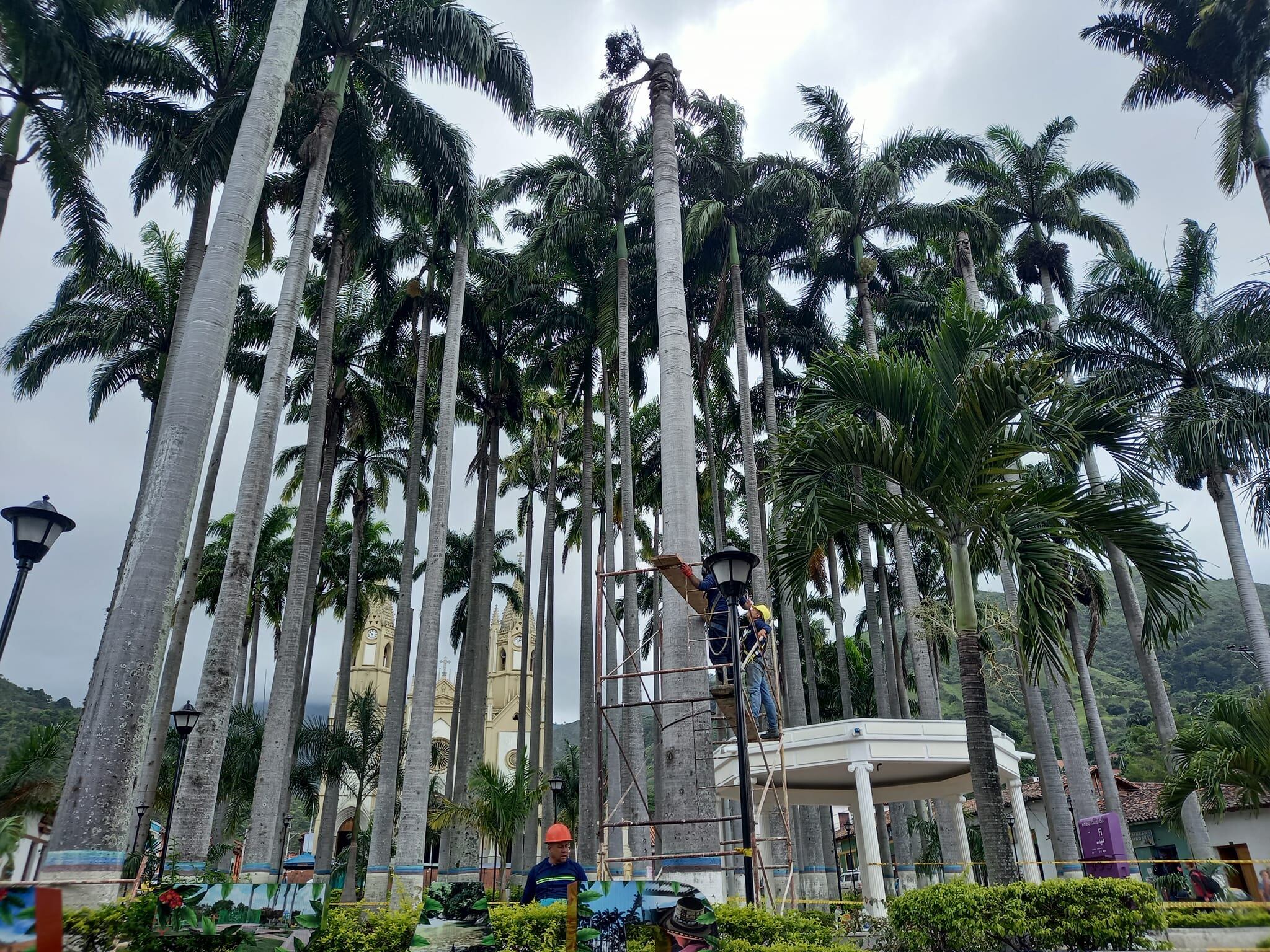 Este proceso de erradicación tiene un valor de $27.931.696 con una duración de 15 días.