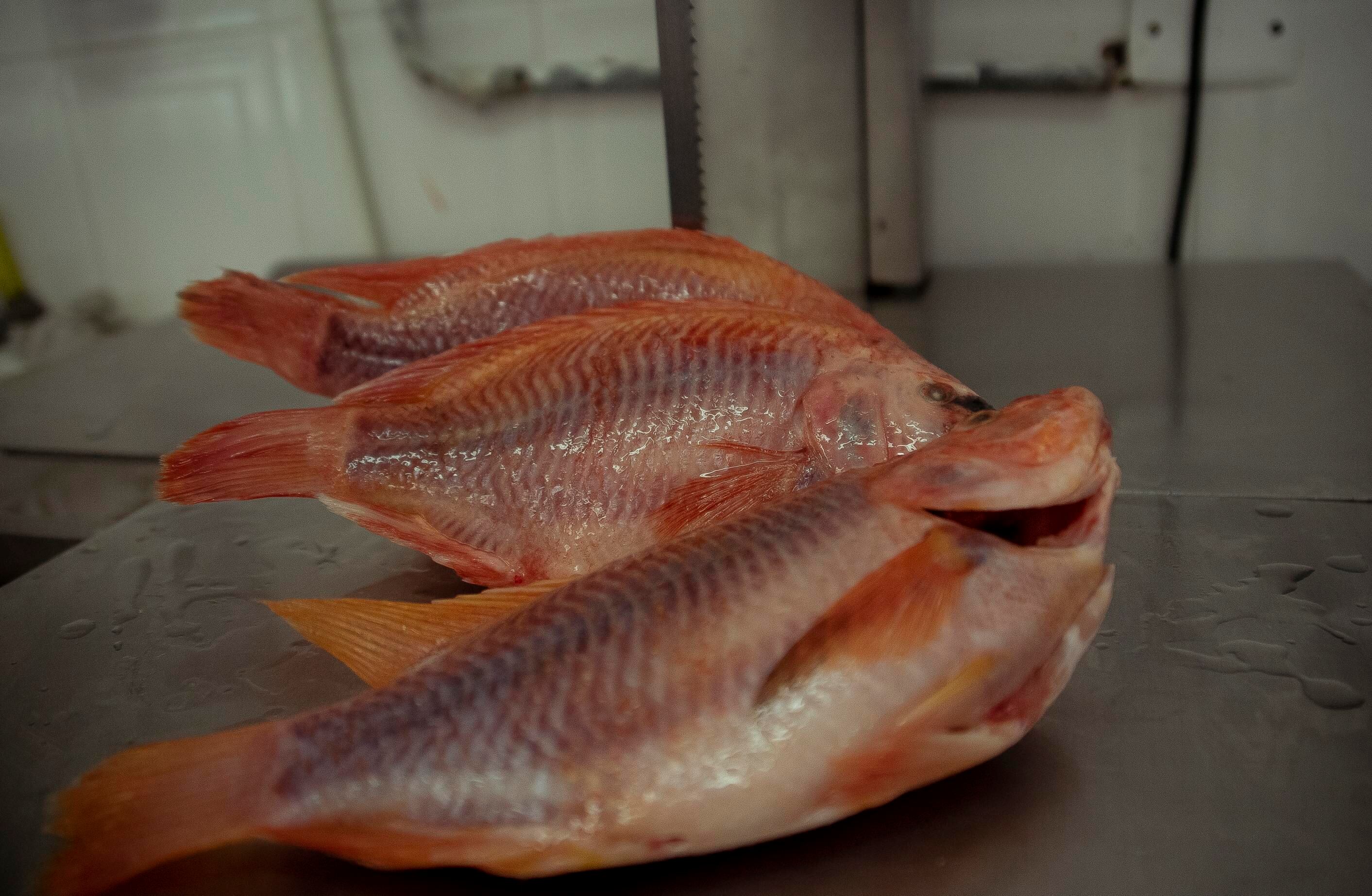 Atentos: estas son las recomendaciones de Salud Pública en Cali en esta Semana Santa.