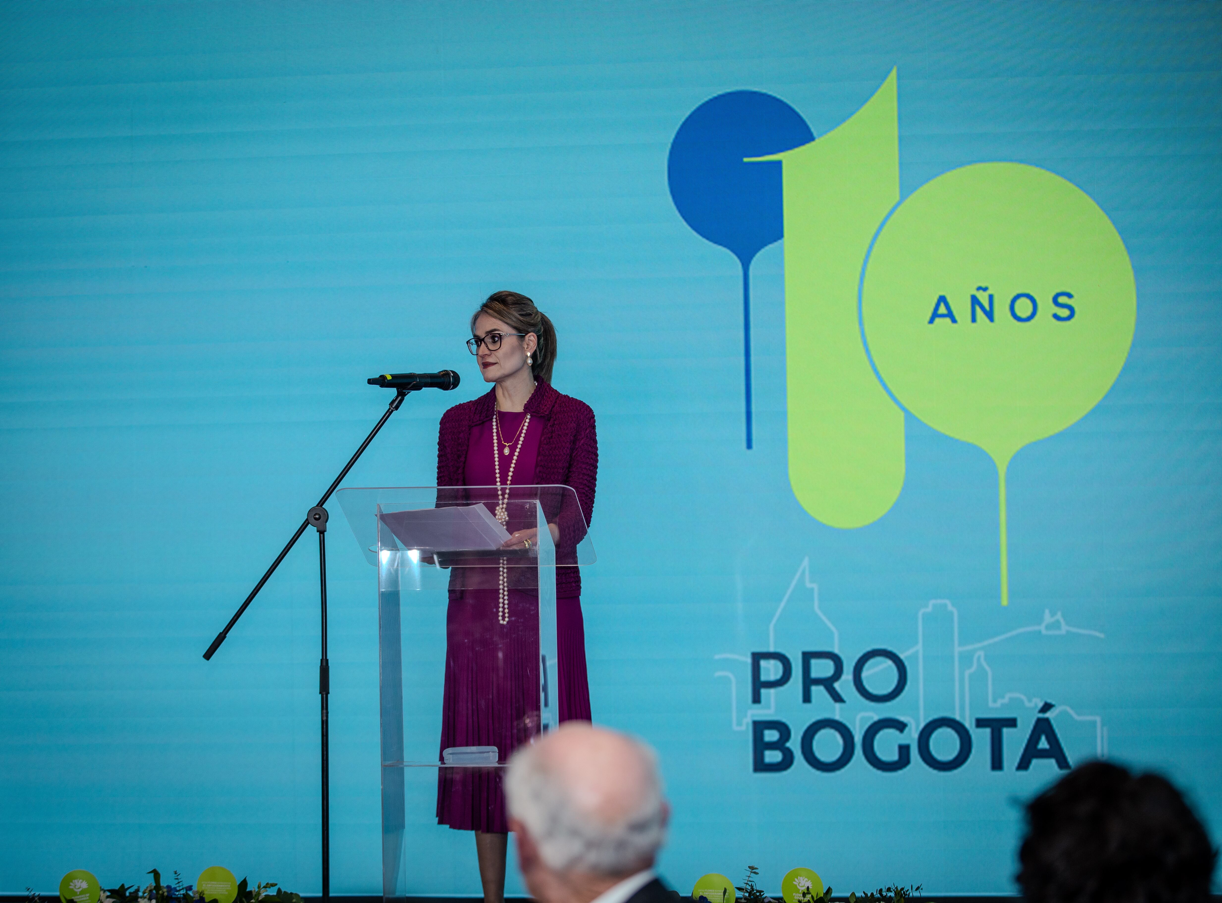 María Carolina Castillo, presidente de Probogotá