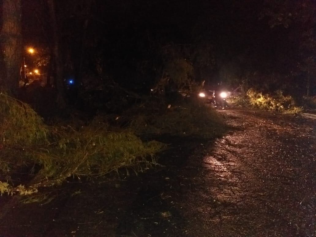 Le piden a los conductores transitar con mucha precaución