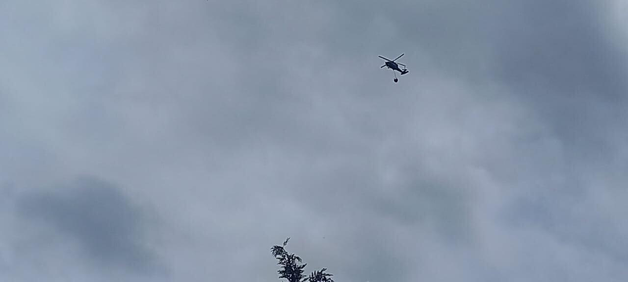 Habitantes del sector fueron los que primero empezaron a dar aviso del fenómeno a través de las redes sociales