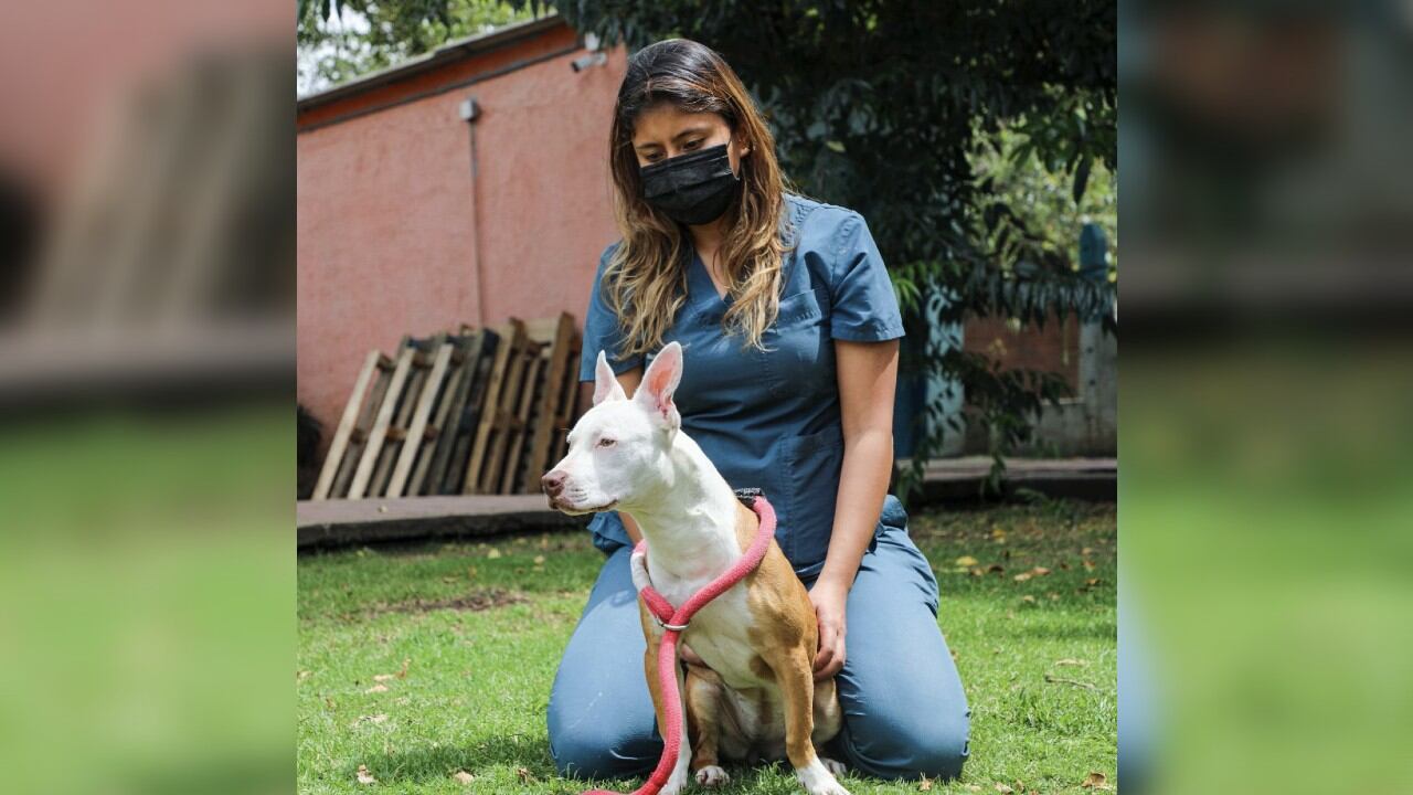 Katira fue adoptada por una familia amorosa.