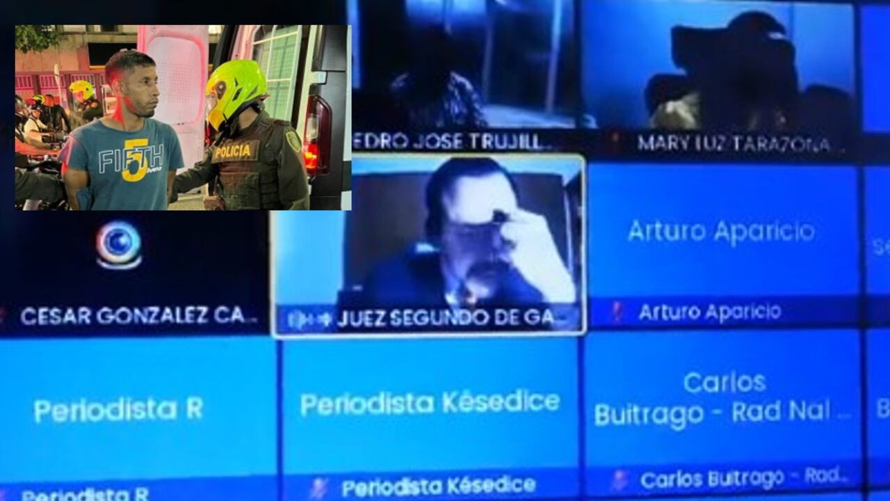 Audiencia Pedro José Murillo