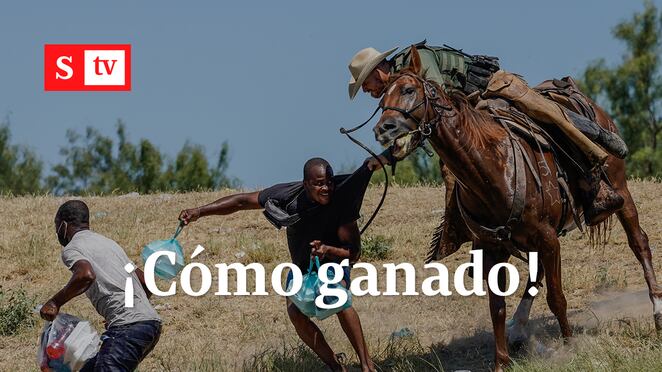 MONICA GANADO V2
