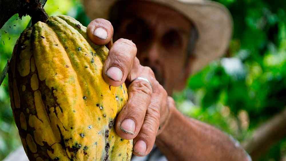 ¿Para dónde va Colombia?: Mauricio Cárdenas, Cecilia López, Francisco Gutiérrez
