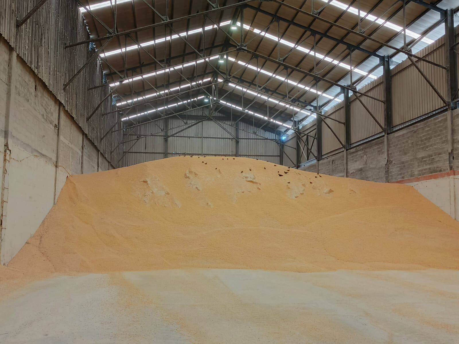La Agencia Nacional de Licencias Ambientales confirmó que durante la visita al Muelle 13 se halló una bodega de cereales con palomas sobre los alimentos.