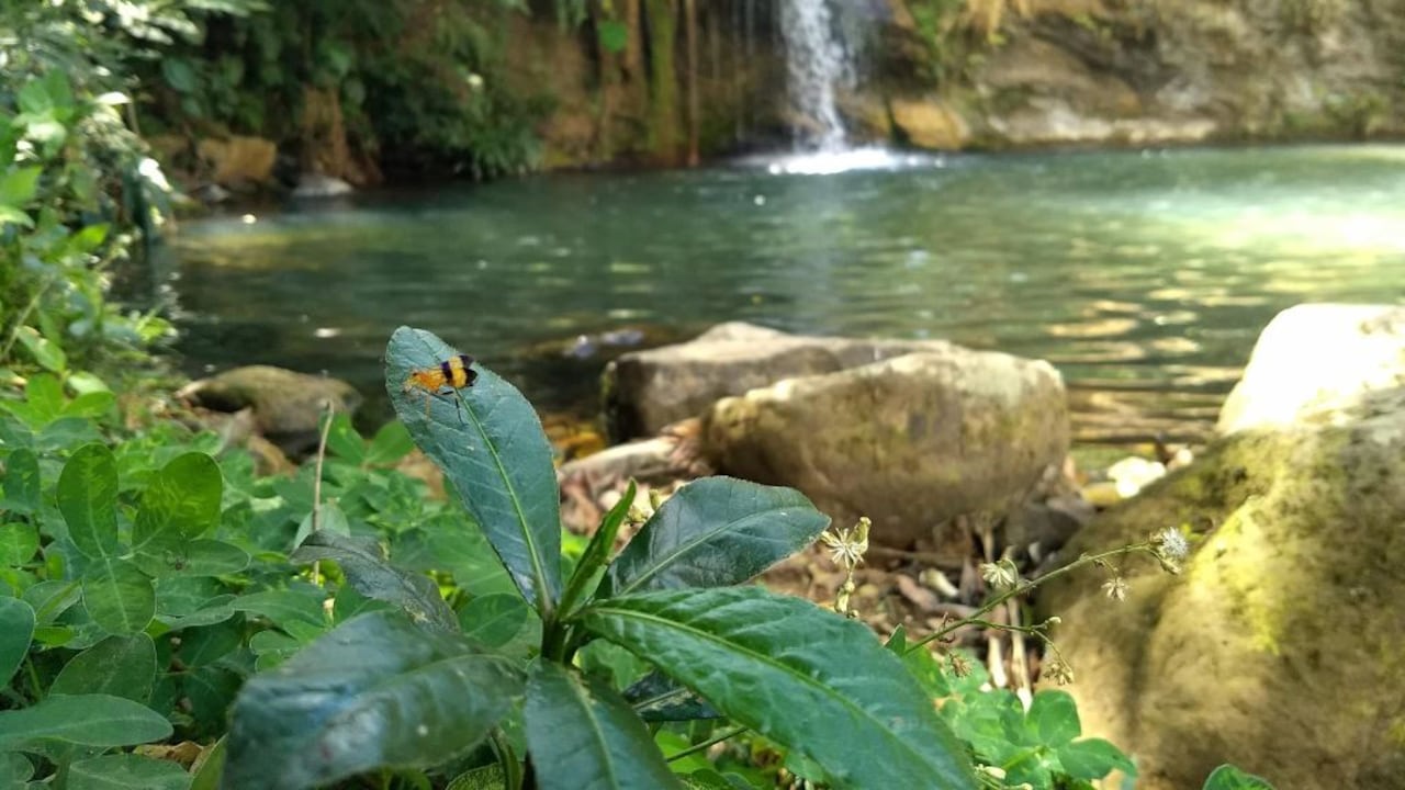Pozo de los deseos, en Santander