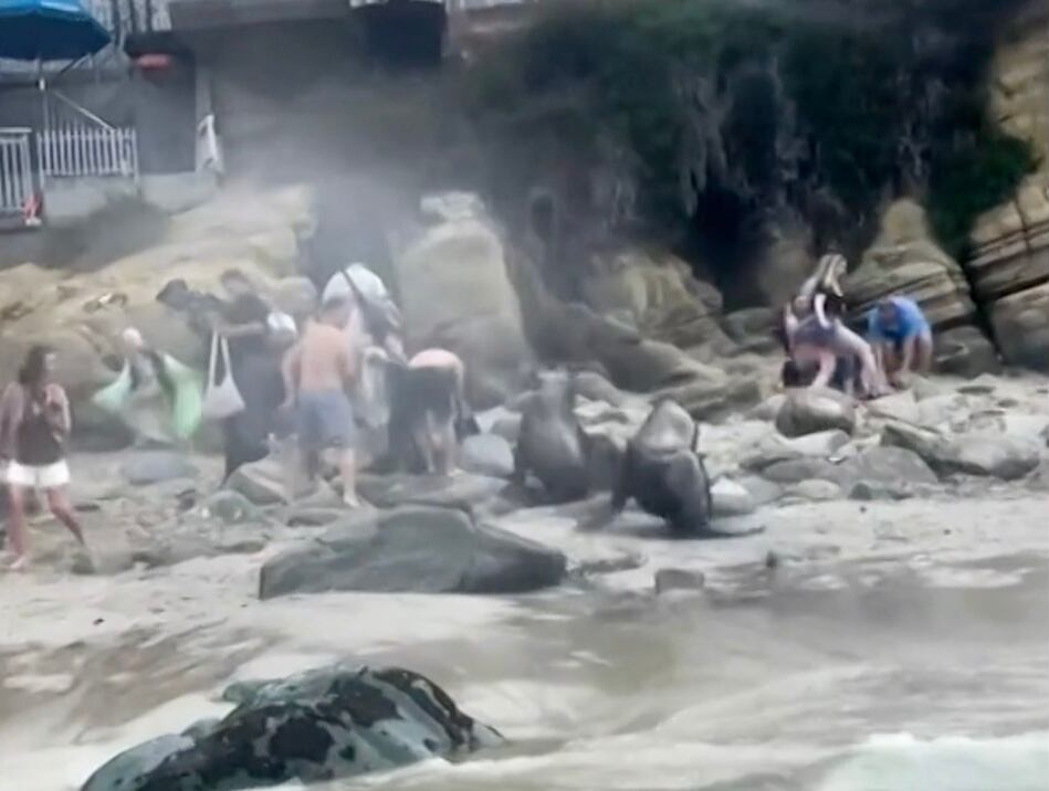 Foto: Captura de pantalla video Japhet Pérez Estrada.