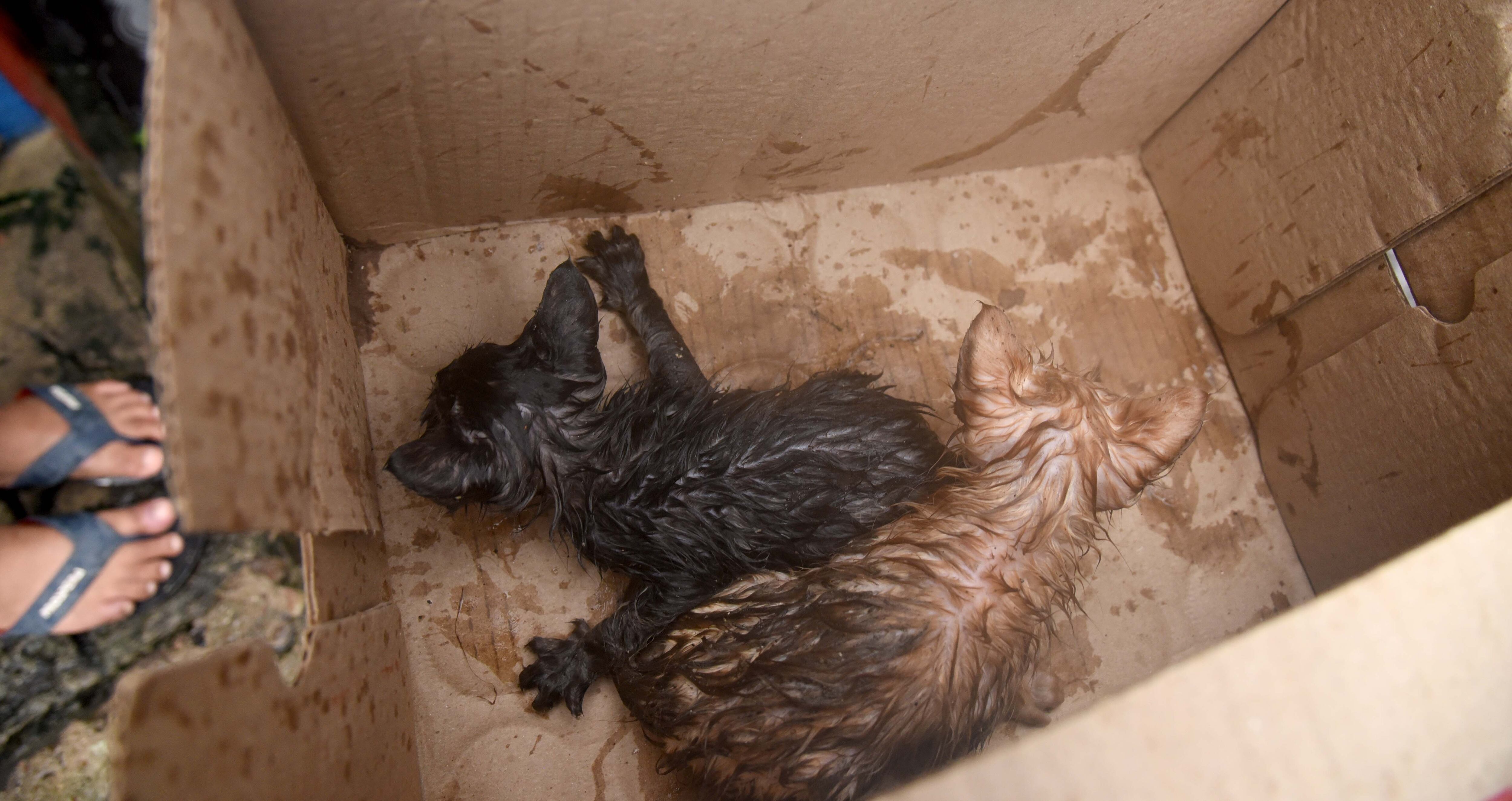 Aracataca, Magdalena. Sábado 5 de noviembre de 2022. Mercado Público.