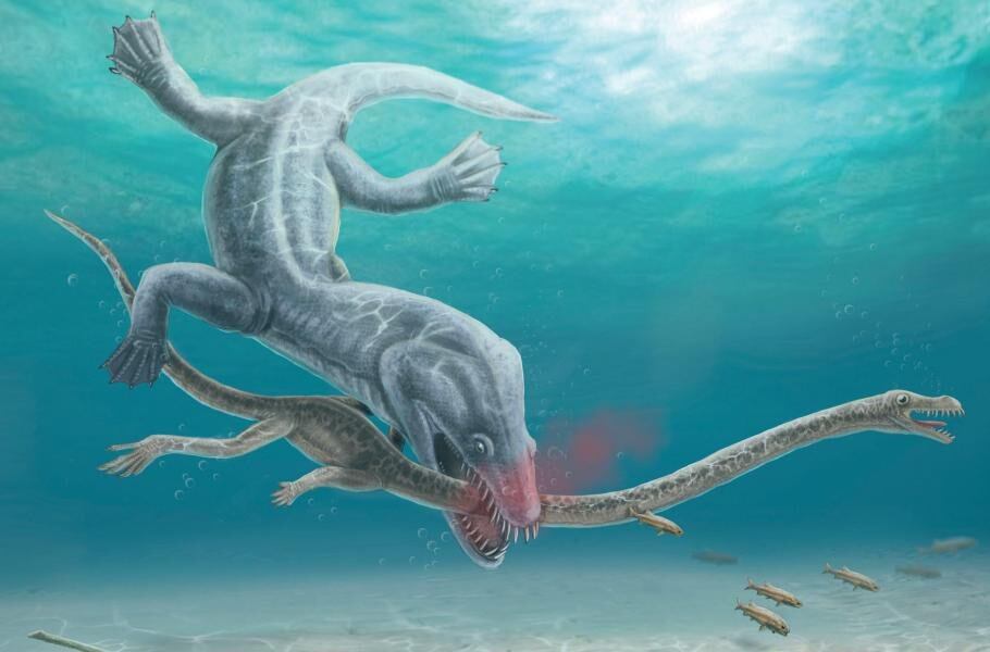Tanystropheus y su depredador.