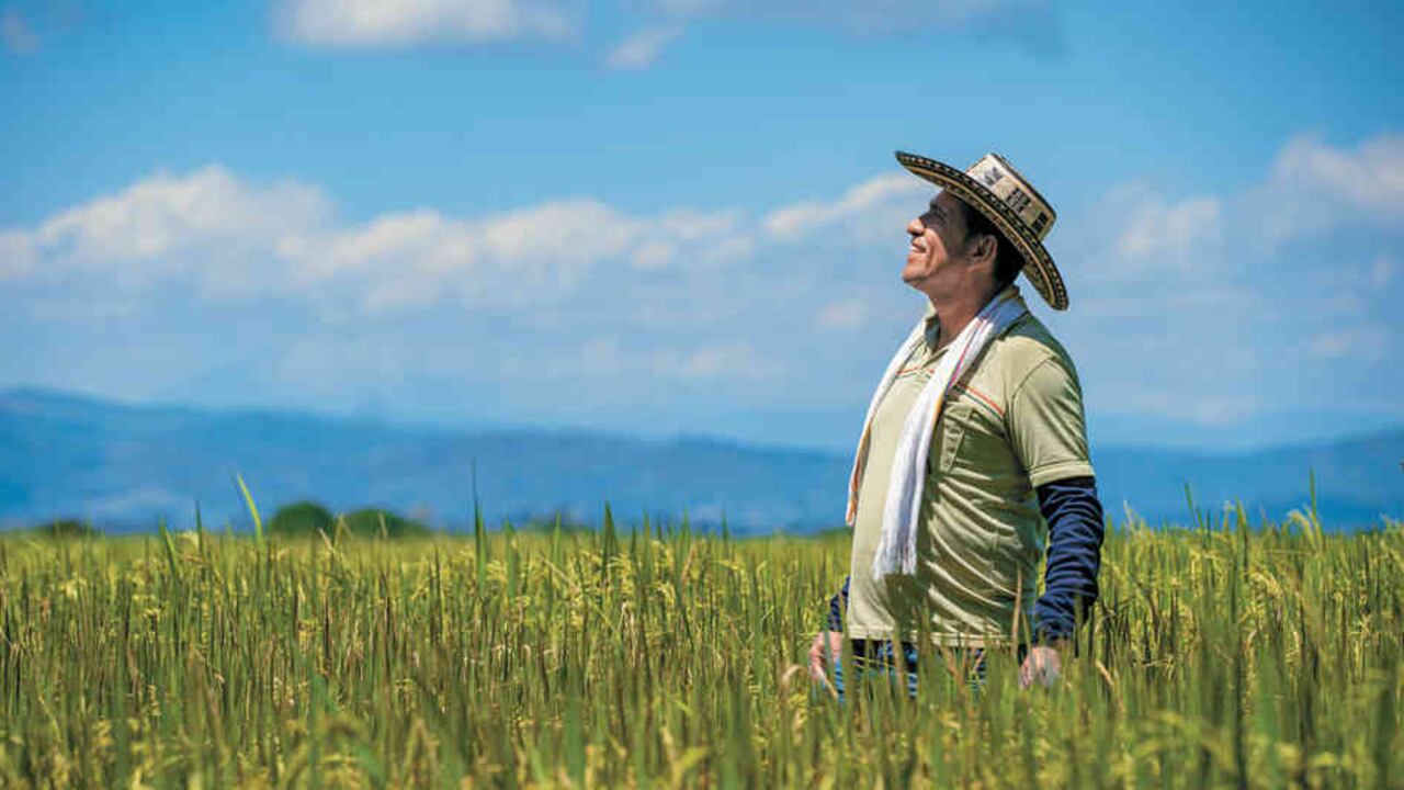 Gelbert Chona y sus compañeros de Asozulia, construyeron el molino que mejorará la producción.