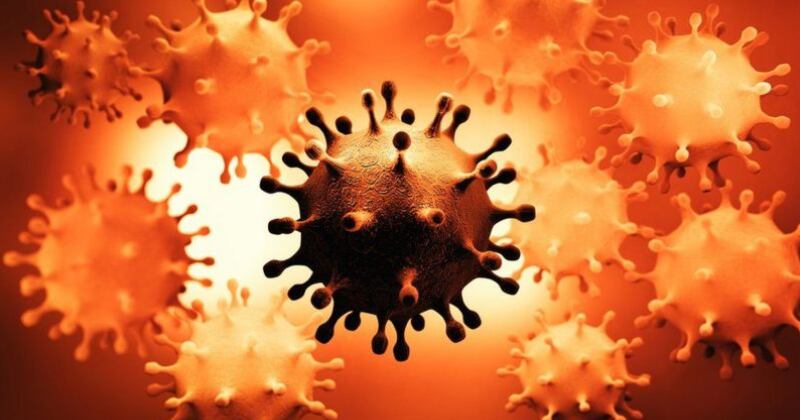 Los virus están en un proceso de mutación constante.