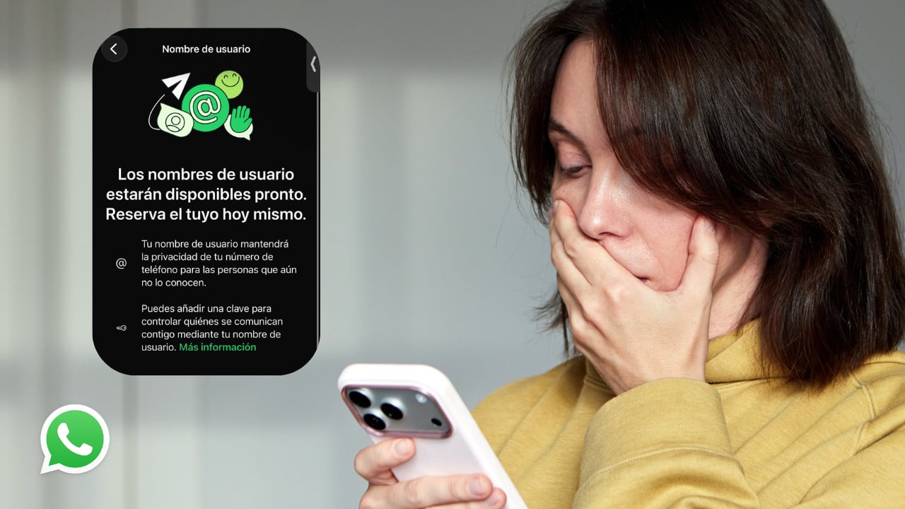 Is the new alias mandatory? WhatsApp clarifies the future of those who do not reserve their username with @