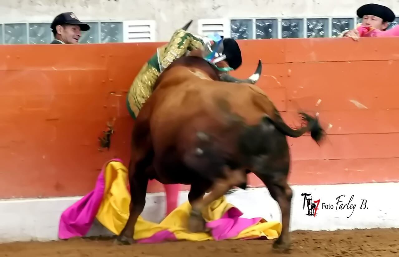 A pesar de lo que los aficionados pensaron, no hubo lesiones graves por la embestida del toro.