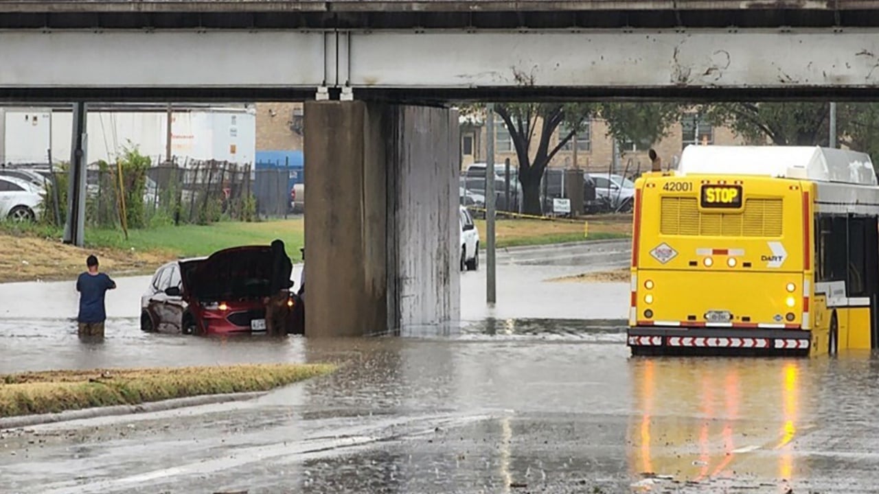Vehículos quedaron atrapados bajo el agua debido a las fuertes lluvias que cayeron sobre Dallas, Texas