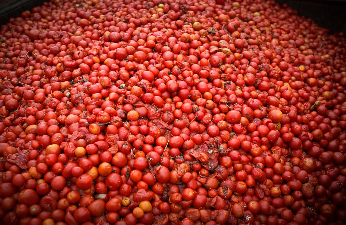 Foto: Iván Valencia / SEMANA