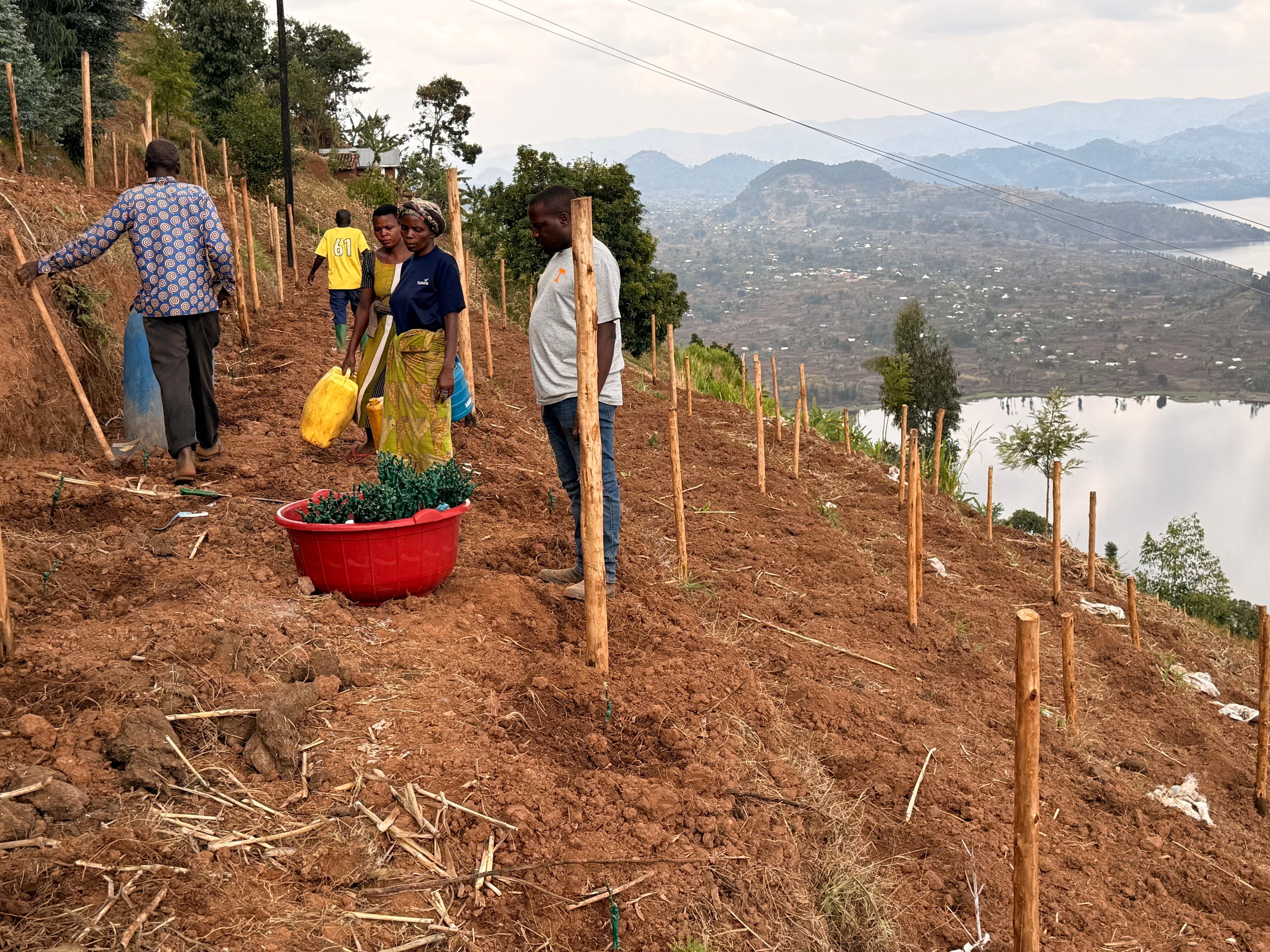 Producción de vino fino en Ruanda, VINMUSA