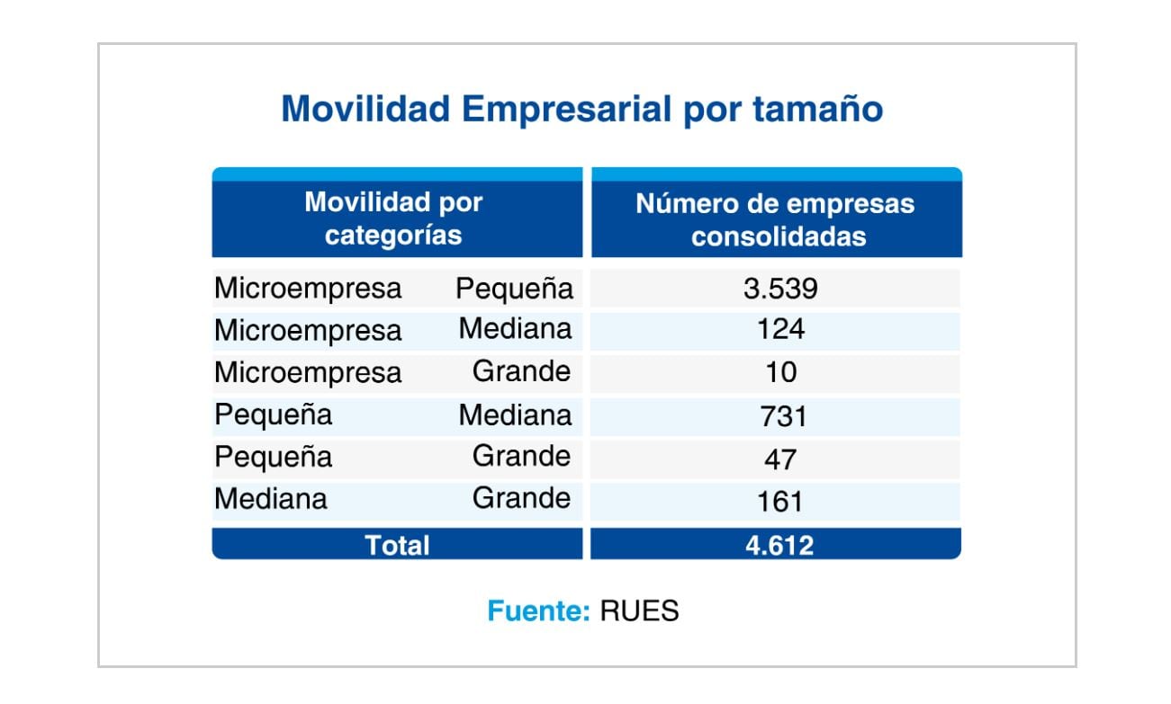 Reporte Confecámaras Empresas