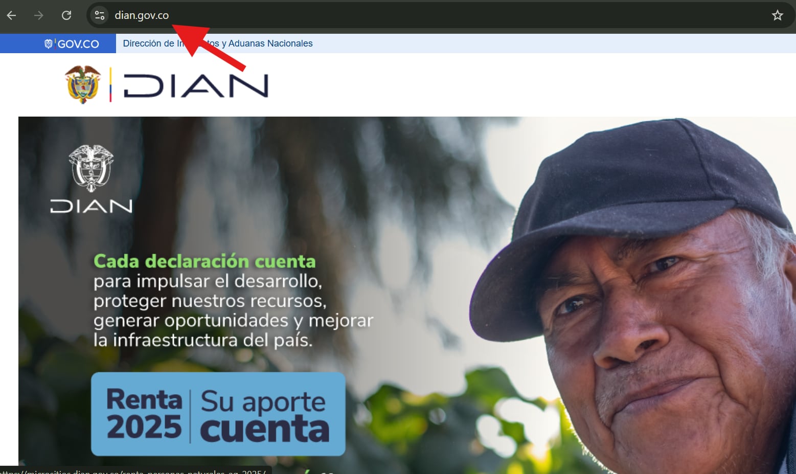 Consultar directamente el portal de la DIAN ayuda a evitar páginas que suplanten a la entidad.