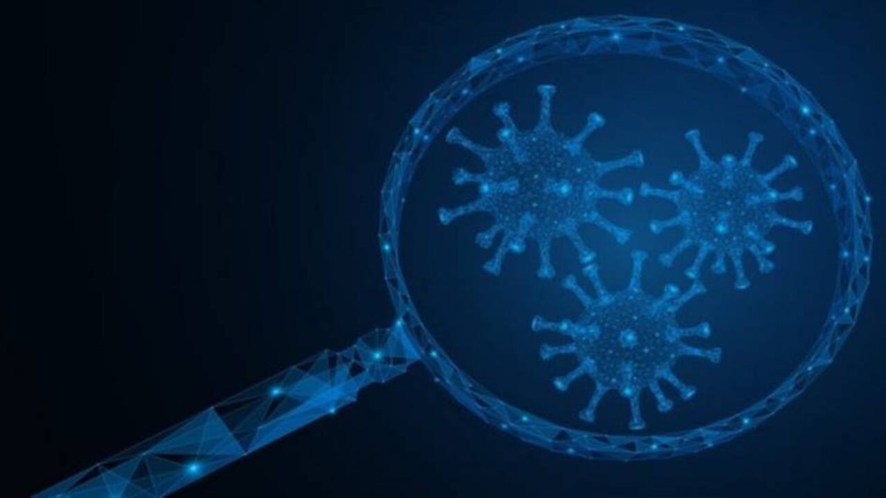 Las cosas buenas que hacen los virus superan por lejos a las malas, dice el epidemiólogo Tony Goldberg. Foto: Getty.