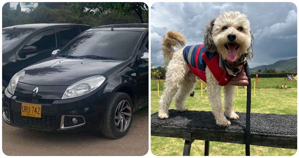 El carro que fue robado y Milo, la mascota que estaba dentro del vehículo.