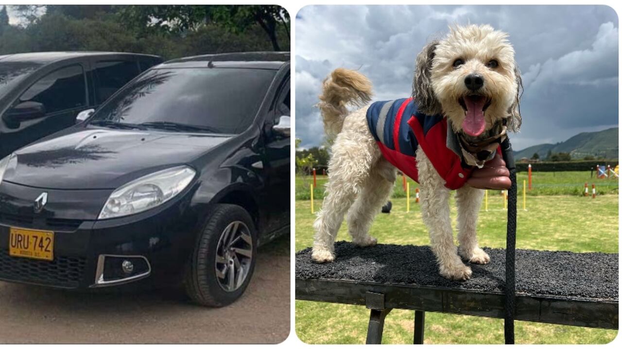 El carro que fue robado y Milo, la mascota que estaba dentro del vehículo.