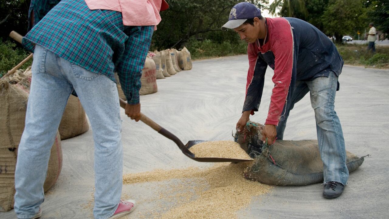 De acuerdo con declaraciones de algunos tenderos consultados por Dinero, esta situación ha sido trasladada a los compradores de manera directa.