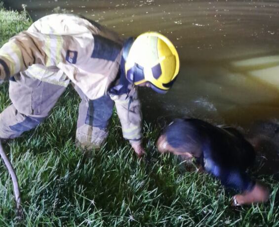 Bomberos de Cali salvaron a dos personas que cayeron en un carro al Lago de la Babilla, en el barrio Ciudad Jardín.