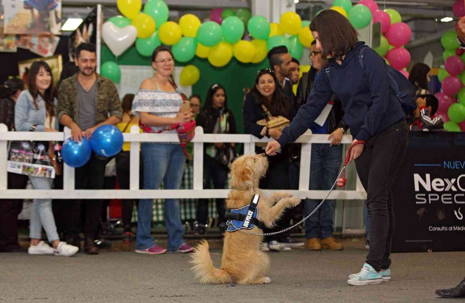 Foto: León Darío Peláez / SEMANA 