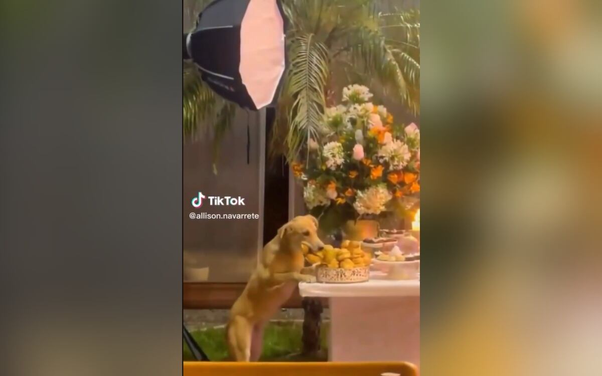 Tik Tok: @allison.navarrete