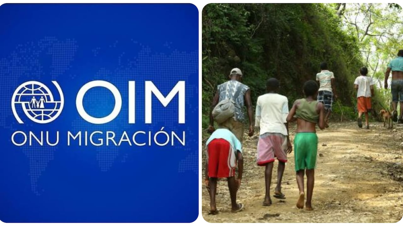Organización Internacional para las Migraciones ayudará a víctimas del conflicto.