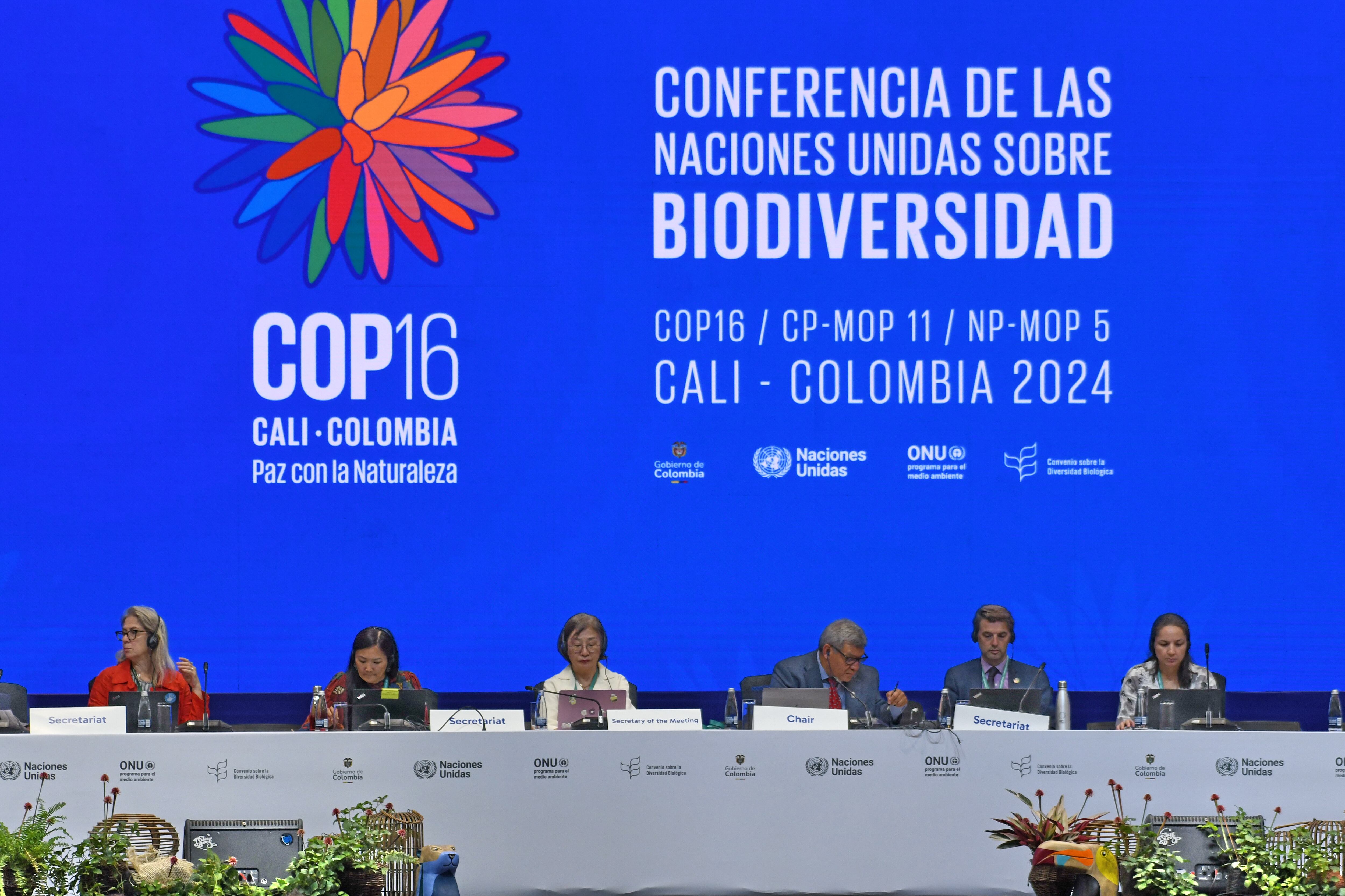 Cali: Cop 16, zona azul,   último día de plenarias, salida de delegados. Foto José L Guzmán. El País.