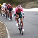 Diego Camargo tiene 25 años.