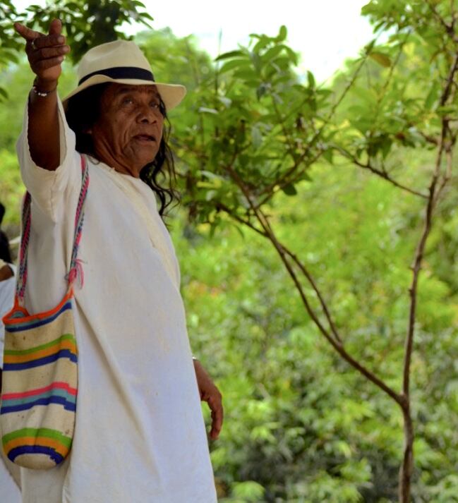 Patricia Ariza, Ramón Gil Barros, Víctor Simarra Reyes y Julio Ernesto Estrada ‘Fruko’ son los ganadores de los Premios Nacionales Vida y Obra 2024 del Ministerio de las Culturas