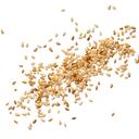 Semillas de sésamo - ajonjolí