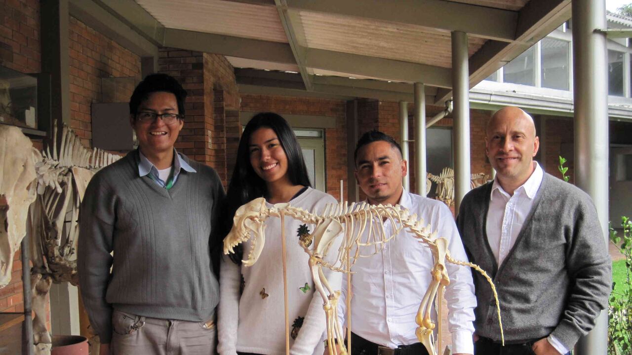 Ganadores de medalla de oro Latinoamericana rumbo a Europa para nueva competencia.