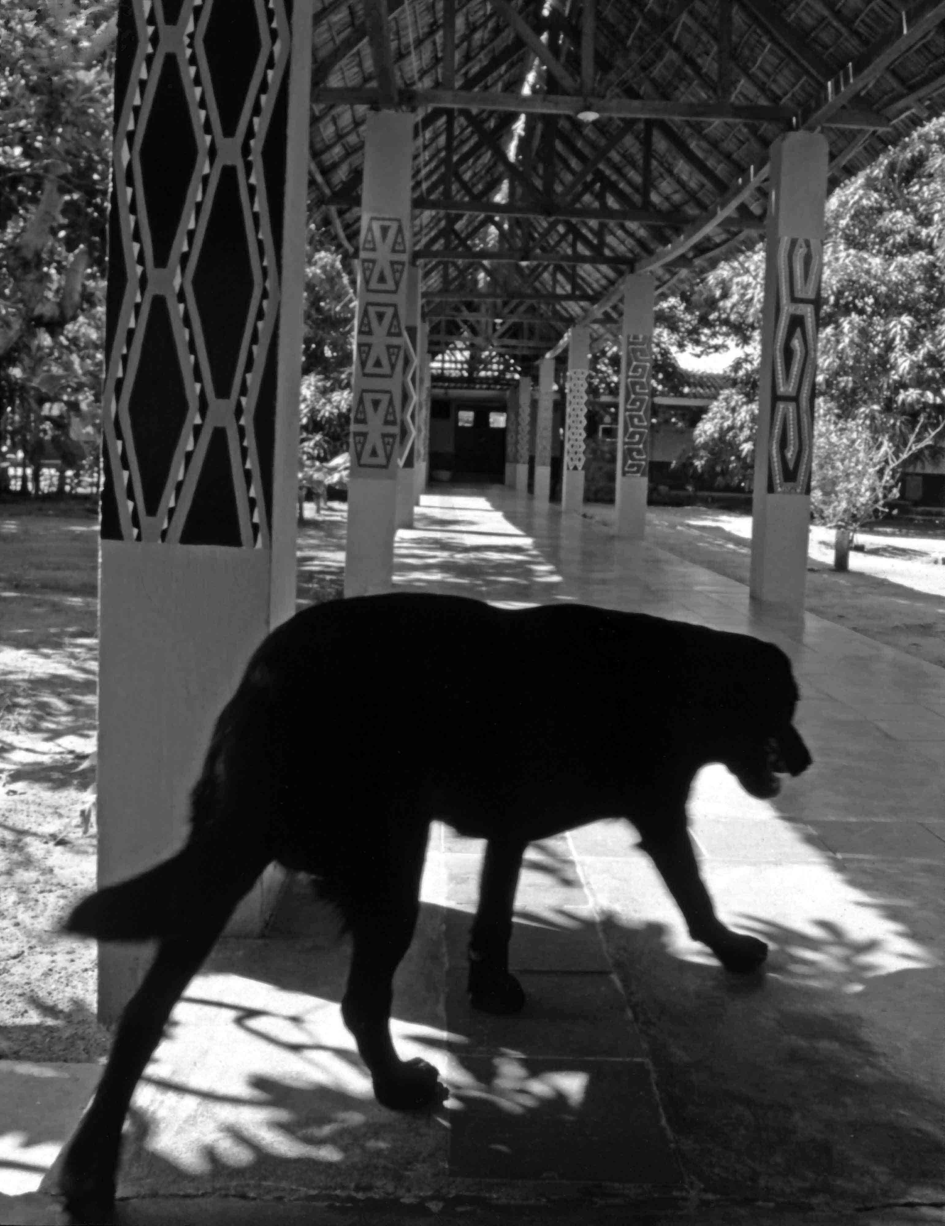 'Hospital indígena de Nazareth', Alta Guajira, 2001. Foto: León Darío Peláez.