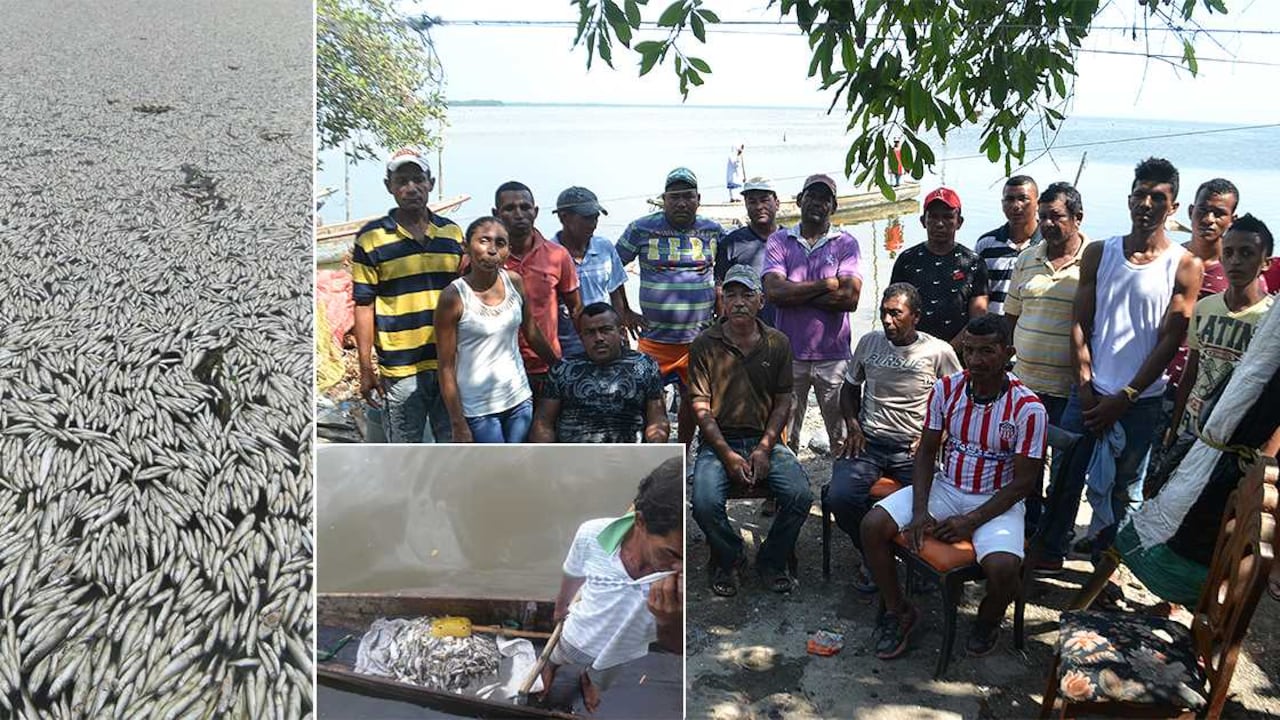 Los pescadores de Pueblo Viejo regresan con las manos vacías luego de largas jornadas de pesca.