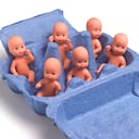 El hombre tuvo un total de 180 hijos.