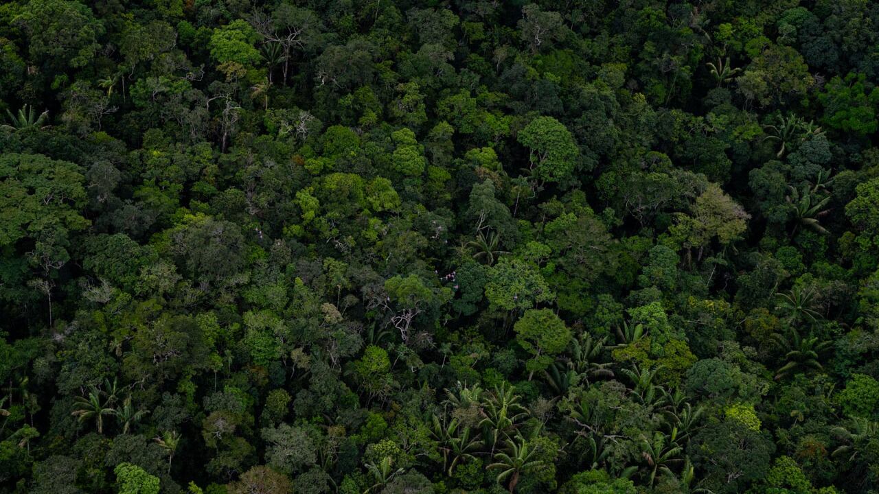 Federico Ríos - Silencio