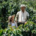 Así se cultiva café de manera sostenible en Colombia